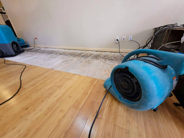 Professional Structural Drying technician working in Midland, NC